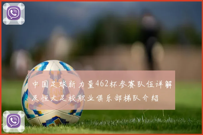 中国足球新力量462杯参赛队伍详解及恒大足校职业俱乐部梯队介绍